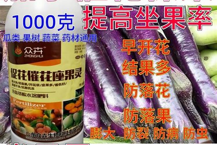 最好的保花保果药