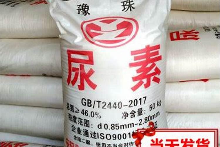 插花的水里放什么持久