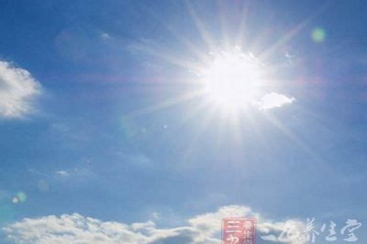 四季山茶花的养殖方法,土壤/温度/水量/修剪/很重要