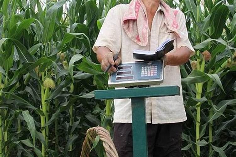 科学家发明的故事 100字左右