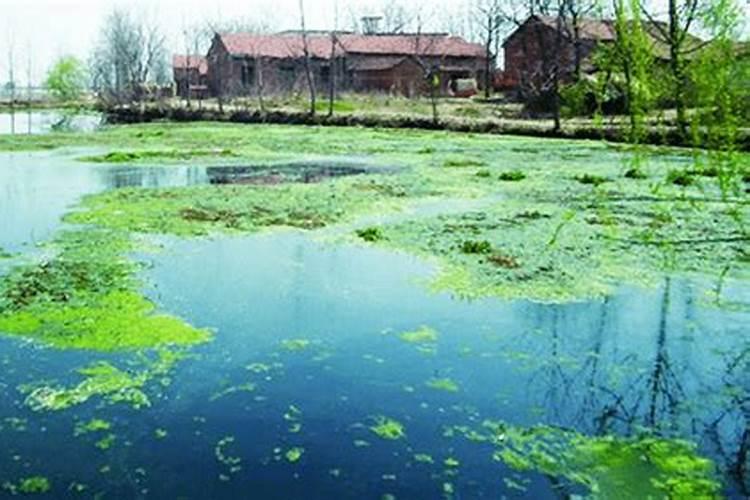 磷酸二氢钾和复合肥哪个好