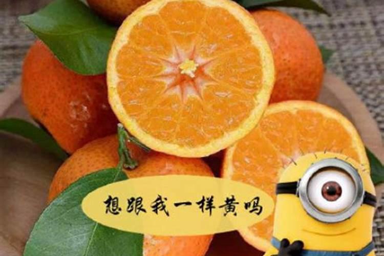 花草的氮肥有哪些