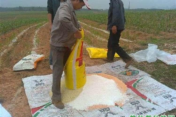 红糖叶面肥的绝密配方