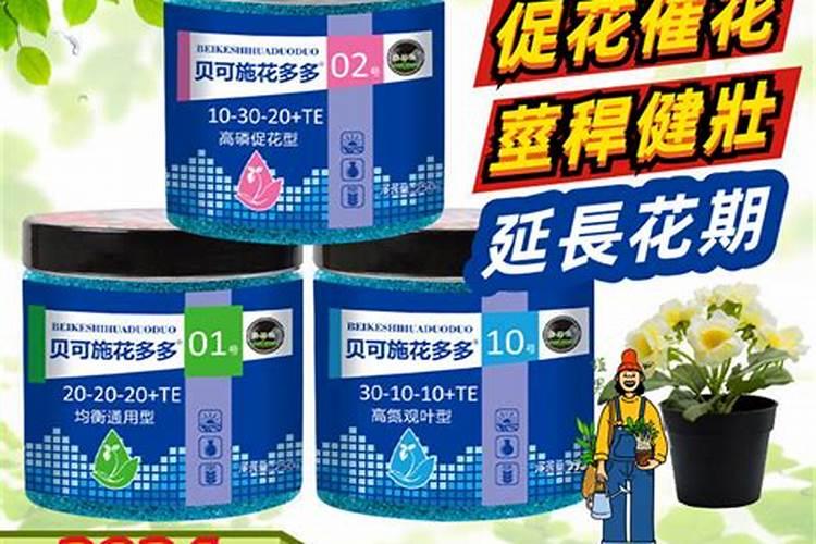 养多肉怎样使用水溶肥