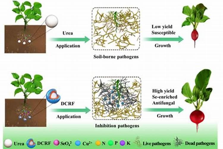 脲甲醛复合肥的优点和缺点是什么替代