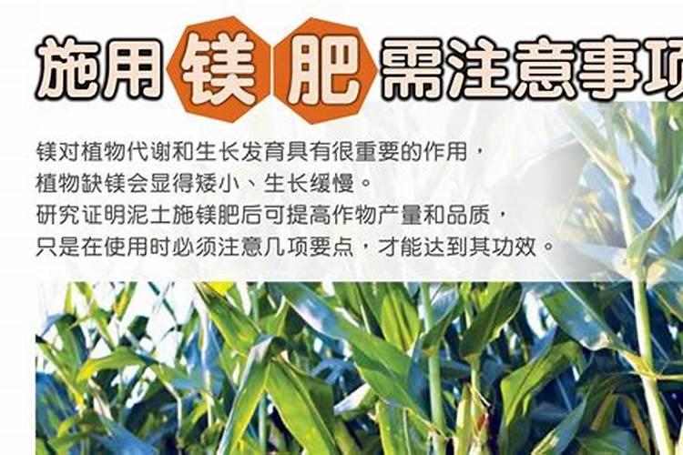 糖醇镁肥糖醇钙肥糖醇锌肥糖醇硅肥能一起冲施吗？谢谢