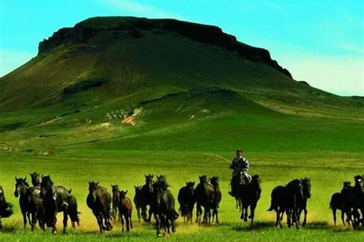 那些蔬菜可以用叶面肥