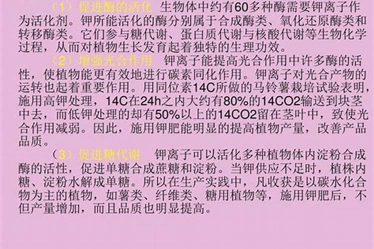 哪种肥料有利于药用植物淀粉积累？
