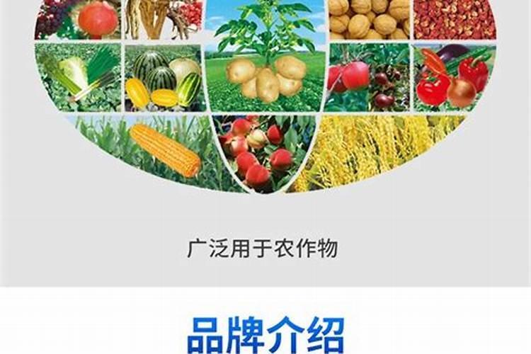 开磷复合肥的卖点怎么介绍好