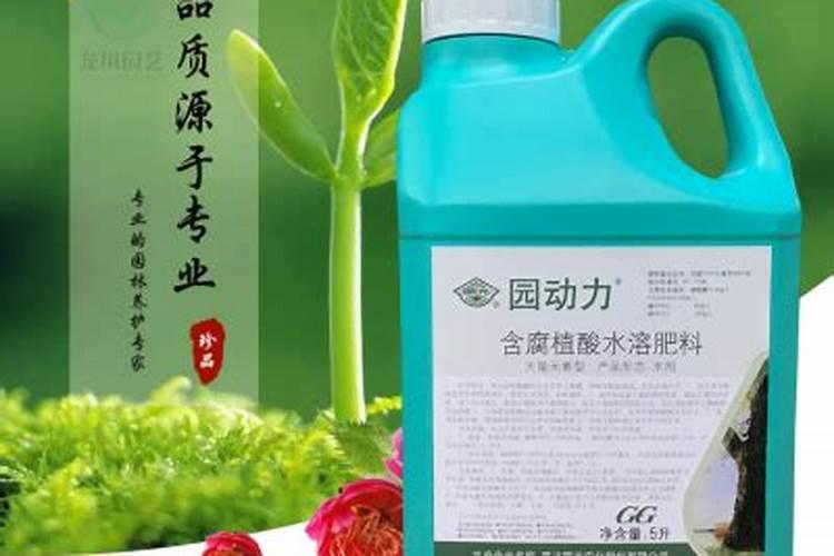 大蒜中后期施什么肥