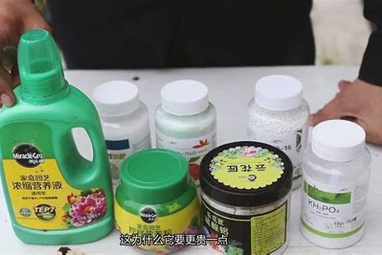 养花必备花肥、常用的花肥有哪些