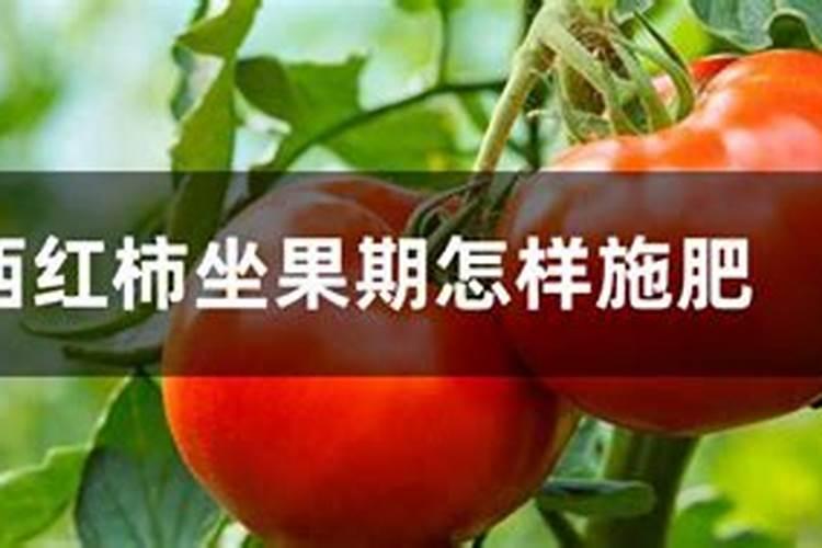 棉花早衰补救方法