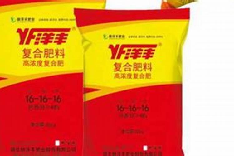 花生打叶面肥最佳时机