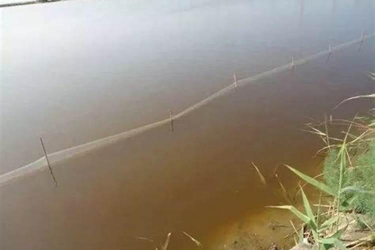 农田施肥的正确方法 农田施肥方法有哪些