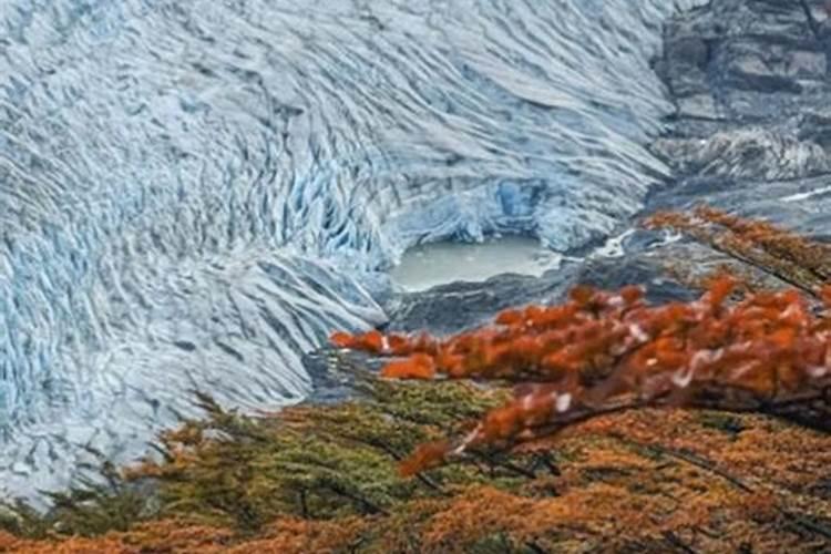 盆花的基质的特点是怎么样的？