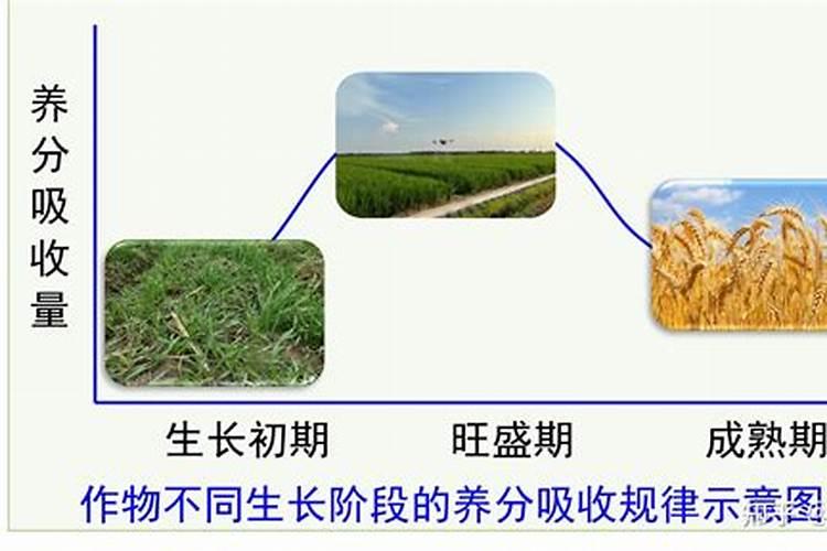 硝酸磷肥追施小麦每亩25公斤行吗‘？
