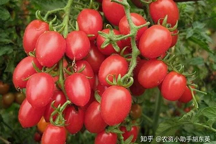 世界环境日是哪一天？