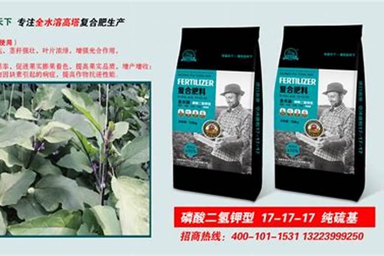 蔬菜叶子发黄是怎么回事,和正常蔬菜有啥区别