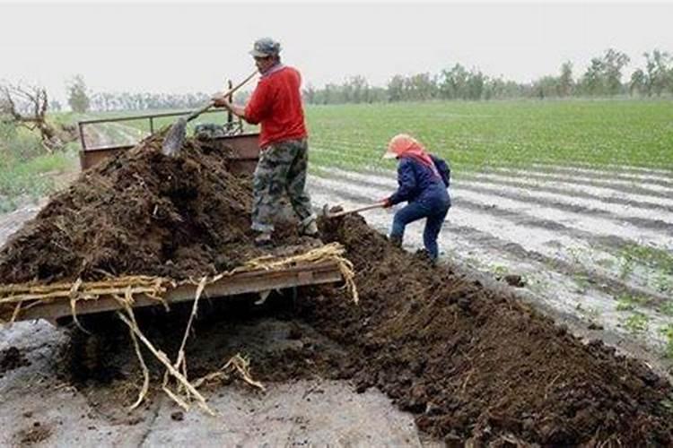 农家肥为什么要在作物腐熟后再施用？原因是什么呢？