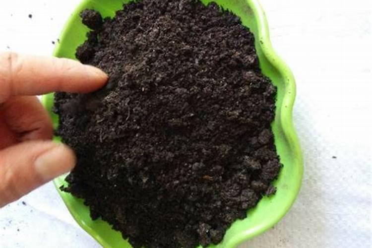 种植小麦,什么时候使用磷酸二氢钾与芸苔素的效果更好？