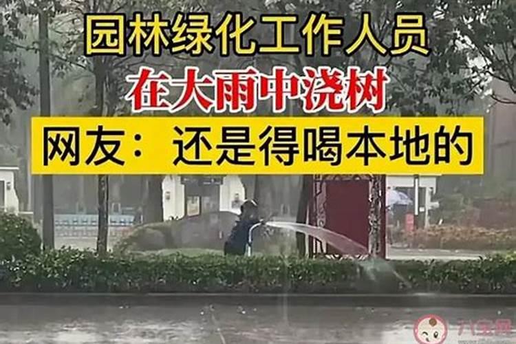 农用小苏打能喷辣椒吗