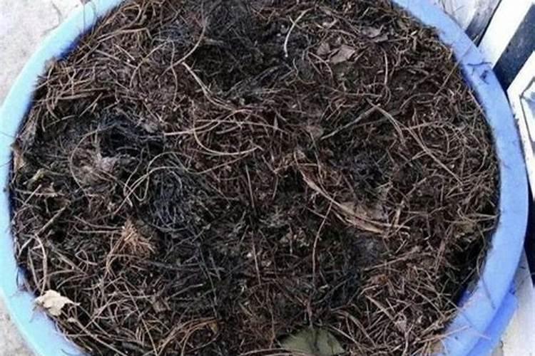 庭院栽植中基肥有哪些内容