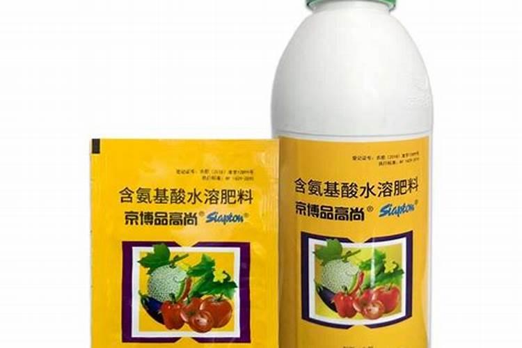 乌龟壳有什么用