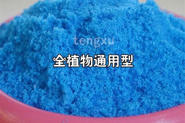 大爱草莓季,周末去哪采摘草莓,安徽境内这6个采摘草莓的好去处为您推荐...