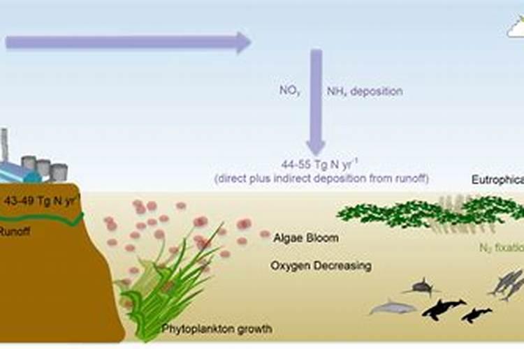 生物酶活化磷肥最佳配比