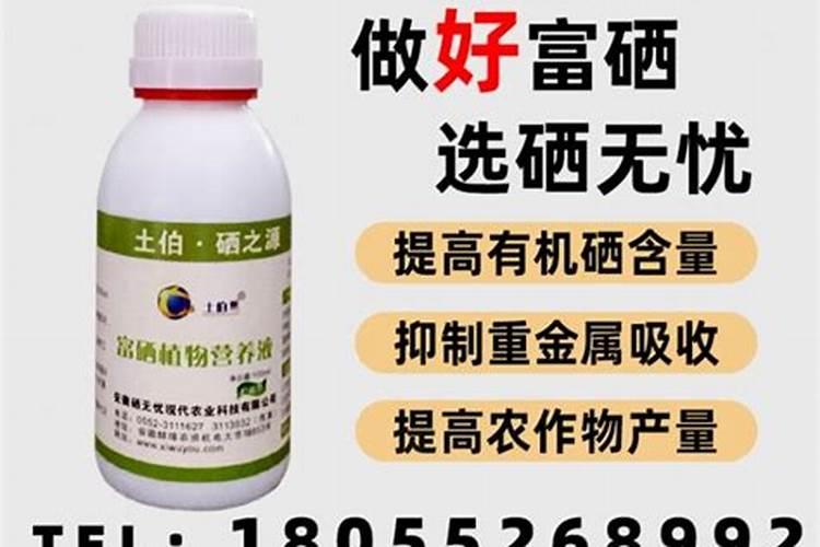 芸苔素内酯浇花的正确方法