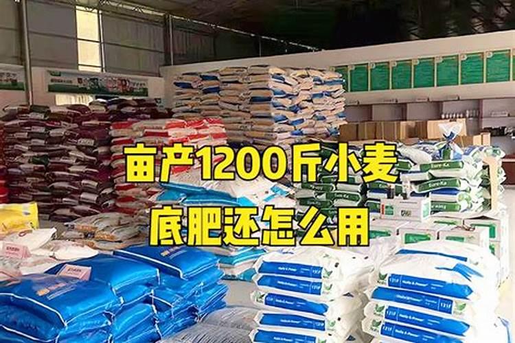 果树什么时候施肥料最好