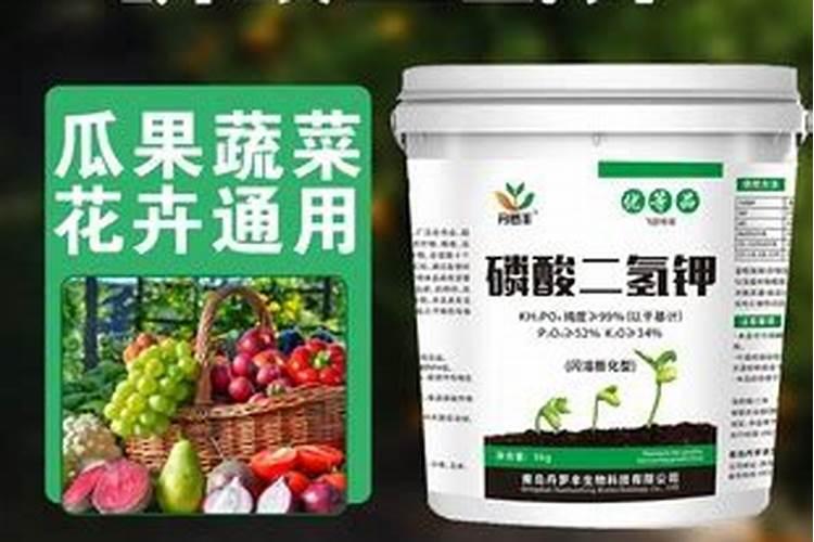 小麦拌种能用芸苔素吗