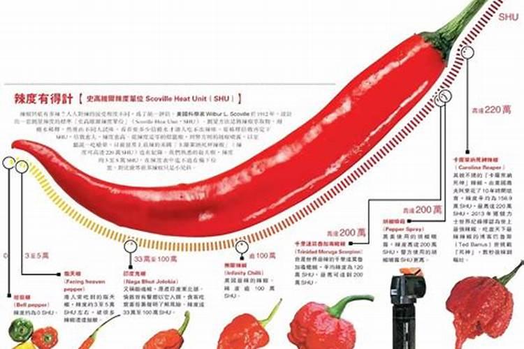 辣椒结果期几天喷一次叶面肥？