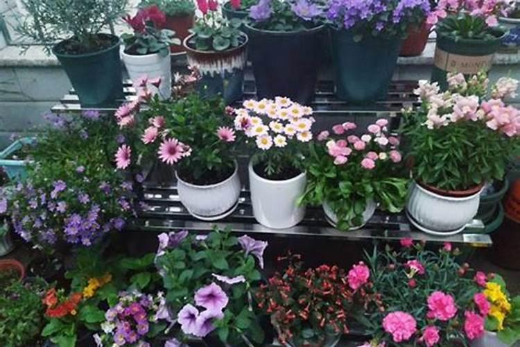 甘肃有哪些化工厂