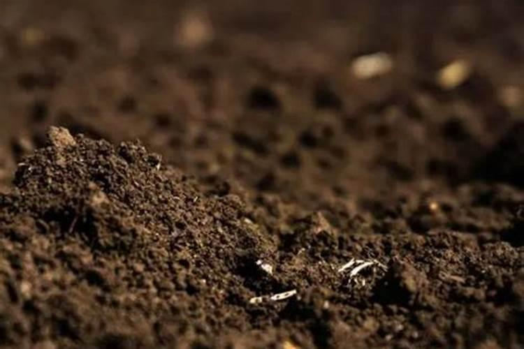 腐植酸属于有机肥吗？有什么优点？