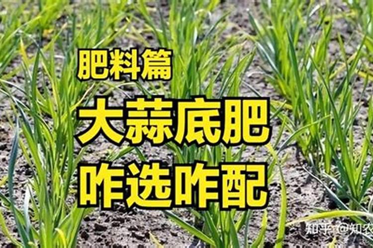 磷酸二铵与碳酸氢铵用于大蒜底肥哪个好