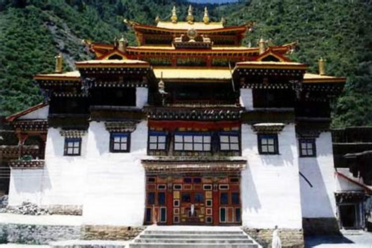 富含锌元素的食品有哪些？