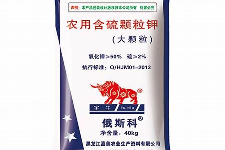 多肉植物怎么样,存活率比较高？？？