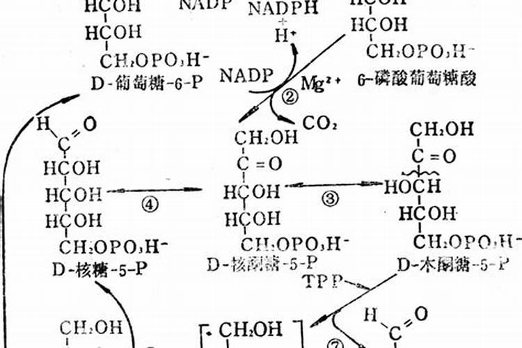 罗汉果的果园管理
