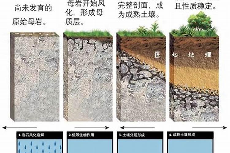 果树补钙用什么钙肥好 什么时候使用效果好