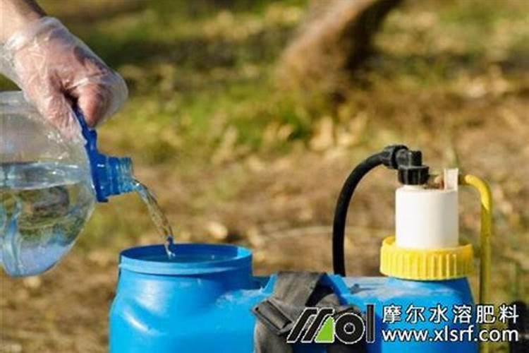 戊唑多菌灵能和微量元素水溶肥一起打玉米吗