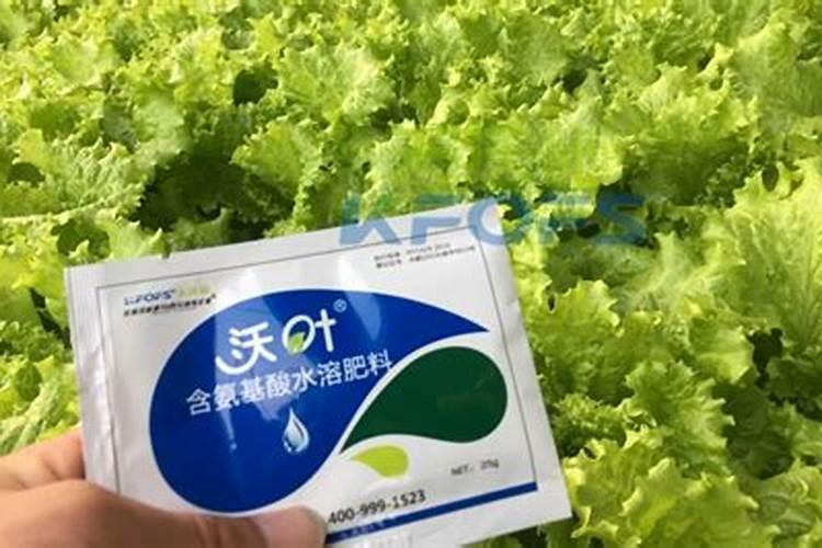 绿叶丰叶面肥效果怎么样？