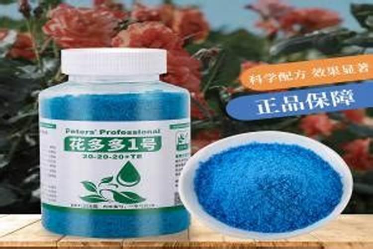 菠菜使用何种肥料能够快速生长