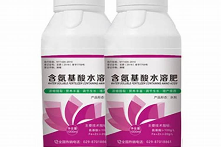 兰花喷什么叶面肥最好(兰花叶面肥喷施注意事项)