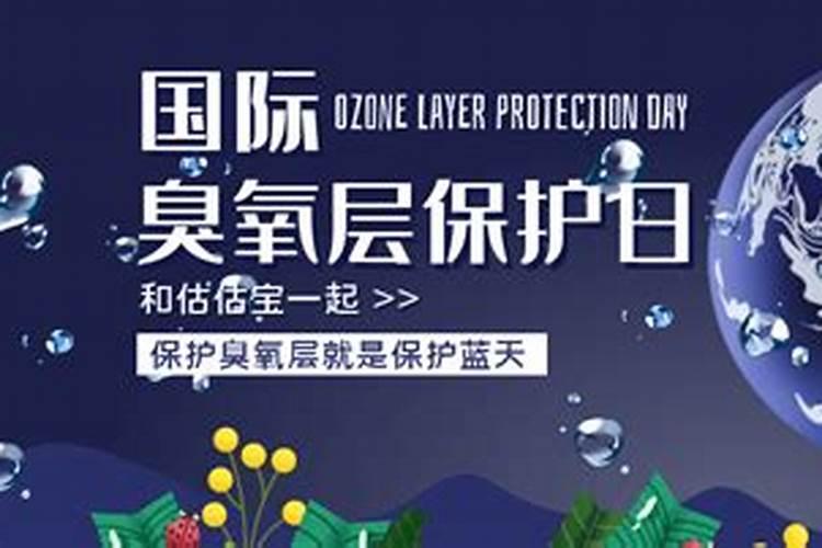 冲施肥哪个品牌好