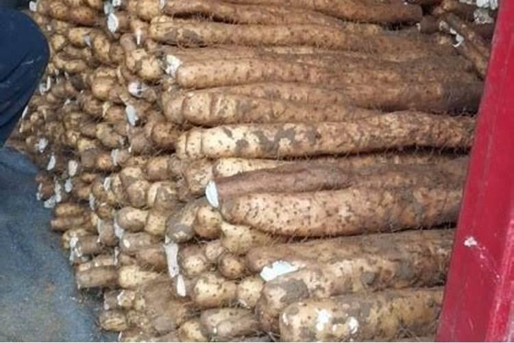 养花用什么肥料最好最快,养花的氮肥有哪些