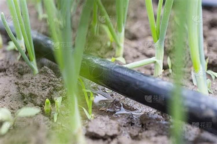 复合肥放了三年还能用吗