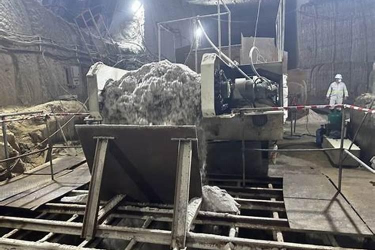 空心菜几天施一次肥