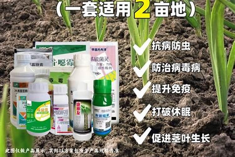 牡丹喷叶面肥注意,新上盆牡丹能用吗？