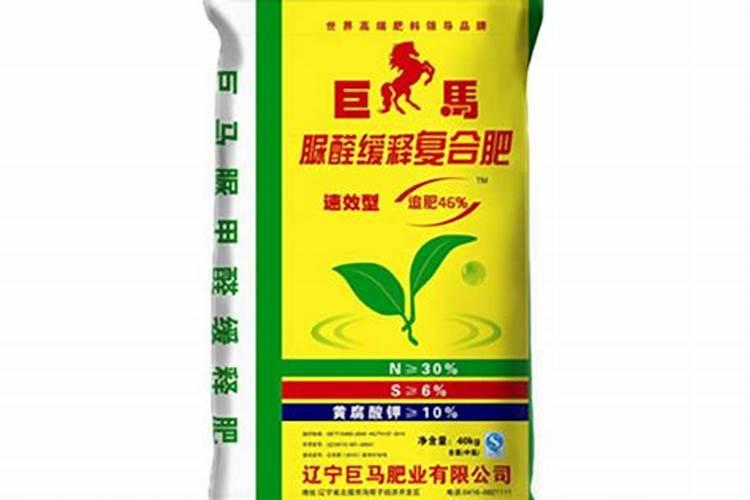 粉龙月季可以盆栽吗